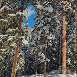 Meet your Posher, Lydia